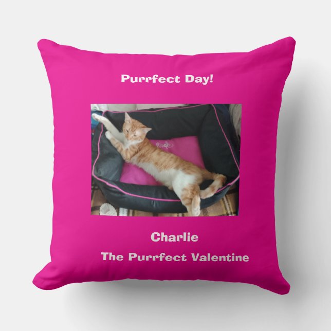 Valentine's Ginger Cat Photo Fun Kudde (Framsida)