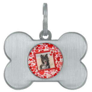Valentines Gräns Collie Hund Hearts ID-bricka Husdjur