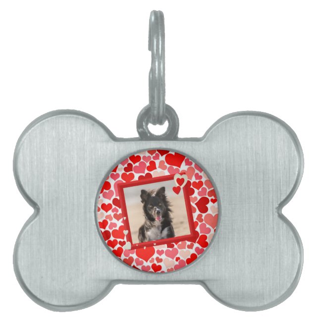 Valentines Gräns Collie Hund Hearts ID-bricka Husdjur (Framsidan)