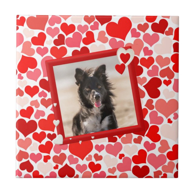 Valentines Gräns Collie Hund Hearts Kakelplatta (Framsidan)
