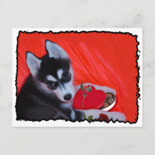Valentines Husky hund Helg Vykort