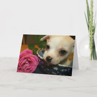 Valentines Kärlek Card Baby Chihuahua Puppy Ro Helgkort