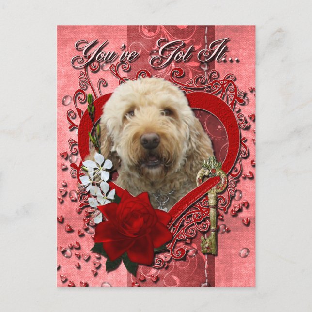 Valentines - nyckel till min hjärta - GoldenDoodle Helg Vykort (Framsida)