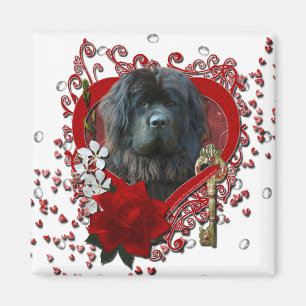 Valentines - nyckel till min hjärta - Newfoundlan Magnet