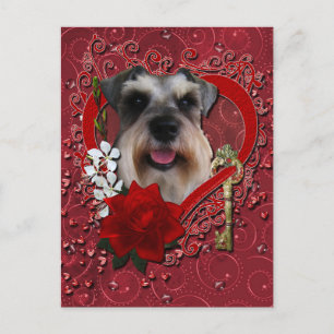 Valentines - nyckel till min hjärta - Schnauzer Helg Vykort