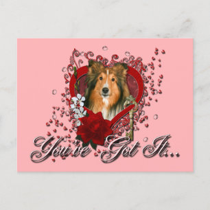 Valentines - nyckel till min hjärta - Sheltie Helg Vykort
