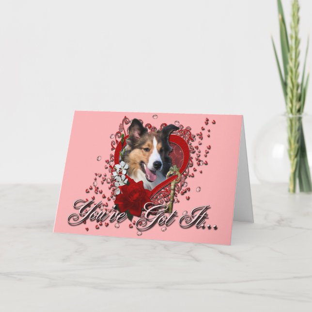 Valentines - nyckel till min hjärta - Sheltie Helgkort (Framsida)