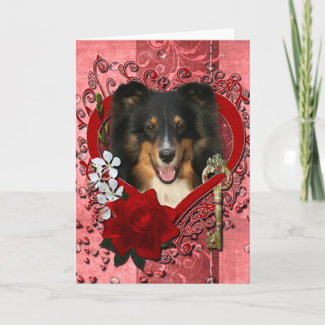 Valentines - nyckel till min hjärta - Sheltie - Helgkort (Framsida)