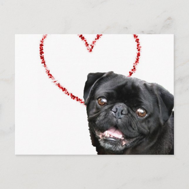 Valentines pug-hund helg vykort (Framsida)