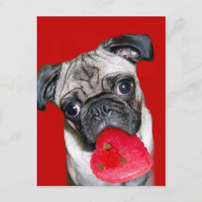 Valentines vykort (Framsida)