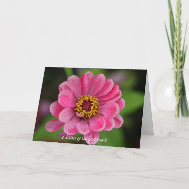 valentineser av rosa blomma helgkort (Framsida)