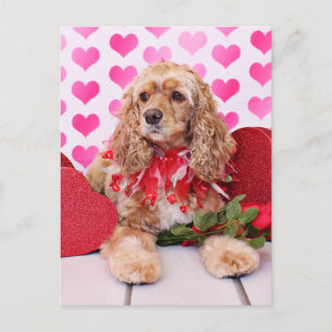 Valentineser - Cocker Spain - Bella Helg Vykort