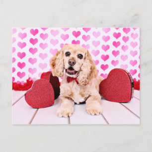 Valentineser - Cocker Spain - Duke Helg Vykort