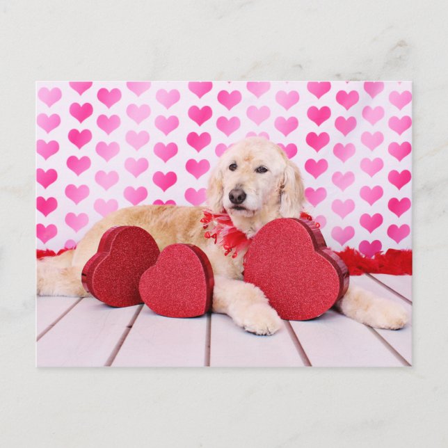 Valentineser - GoldenDoodle - Maggie Helg Vykort (Framsida)