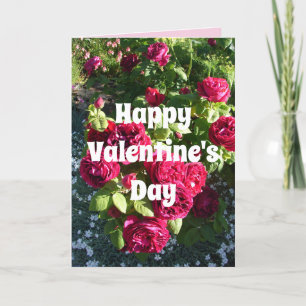 Valentineser i Röd ros Flower Blommigt Vintage Ro Kort