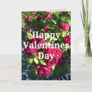 Valentineser i Röd ros Flower Blommigt Vintage Ro Kort