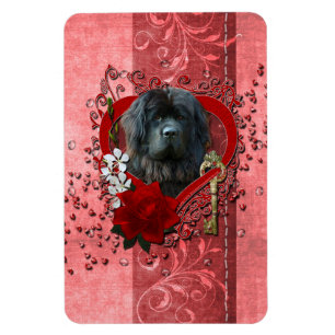 Valentineser - Nyckel till mitt hjärta - Newfoundl Magnet