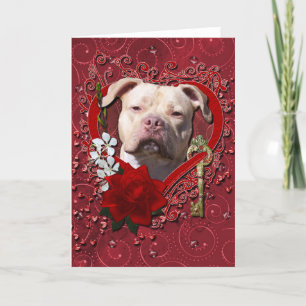 Valentineser - Nyckel till mitt hjärta - Pitbull J Helgkort