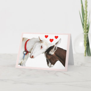 Valentingeten kopplar ihop helgkort
