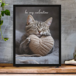 valentinkatt poster