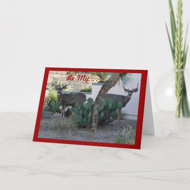 Valentinkort för 2 fullvuxen hankronhjort helgkort (Framsida)