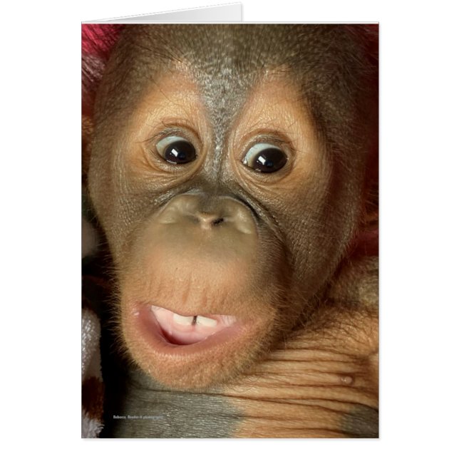 Valentinkort med Baby Orangutan Hälsningskort (Framsidan)