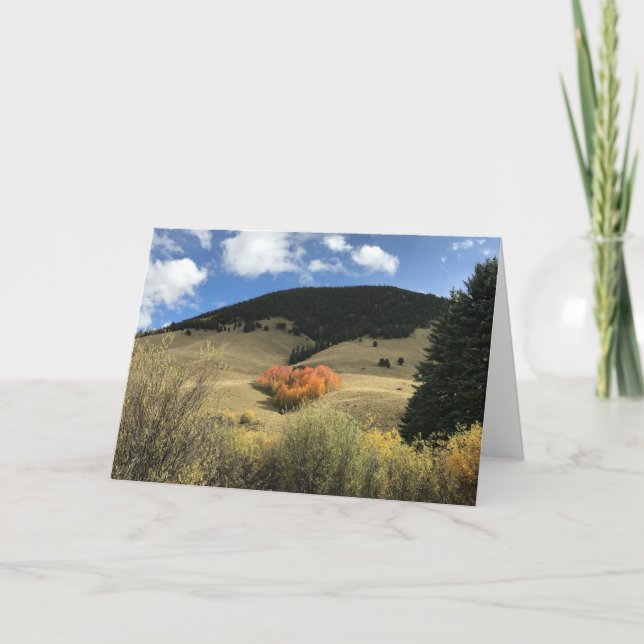 Valentinkort med hjärtformade aspen kort (Framsida)