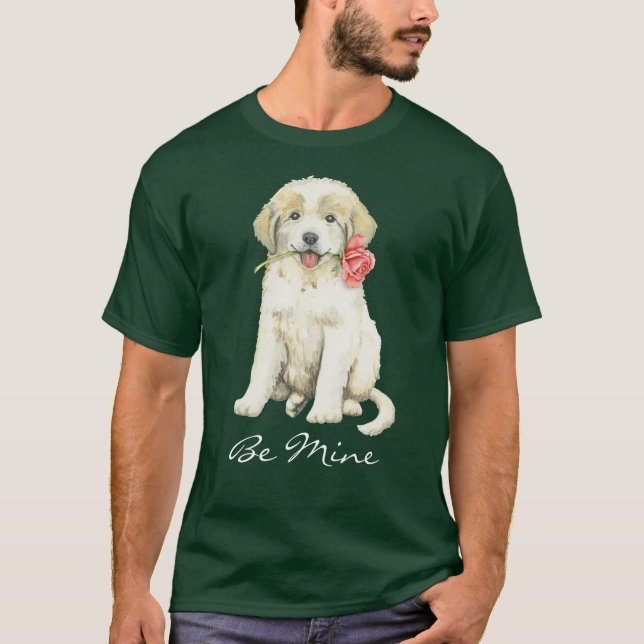 Valentinro underbara Pyrenees Tee (Framsida)