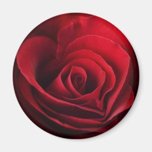 Valentinröd ros magnet