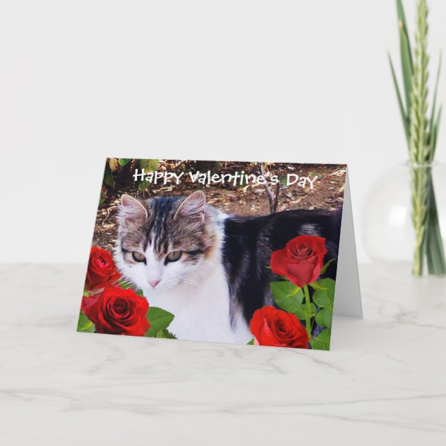 VALENTINS DAGLIGA KATT MED RÖD ROS HELGKORT (Framsida)