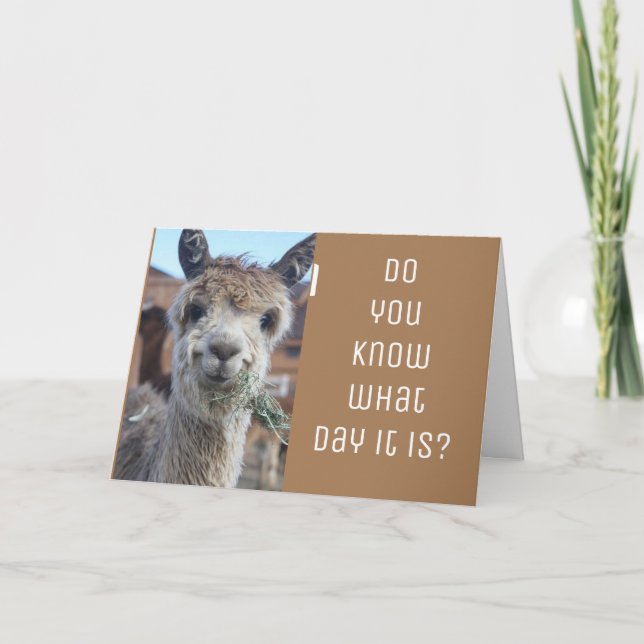 ***VALENTINS DAGS CELEBRATE US*** KORT (Framsida)