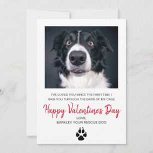 Valentinskort med hundfoto från hunden julkort