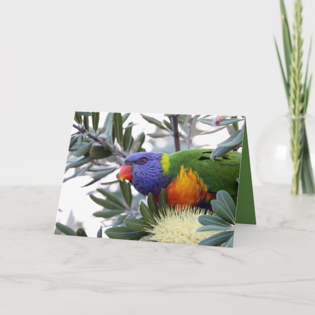 Valentinskort med Lorikeet Helgkort (Framsida)