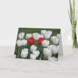 Valentintulpan Helgkort