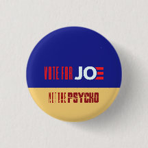 Valet 2024: Demokrati eller diktatur