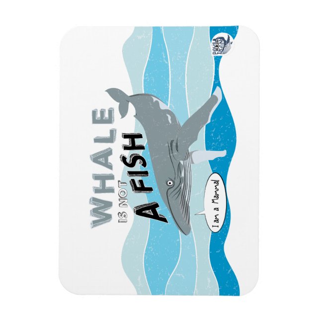 Valet är ingen fisk magnet (Vertikal)