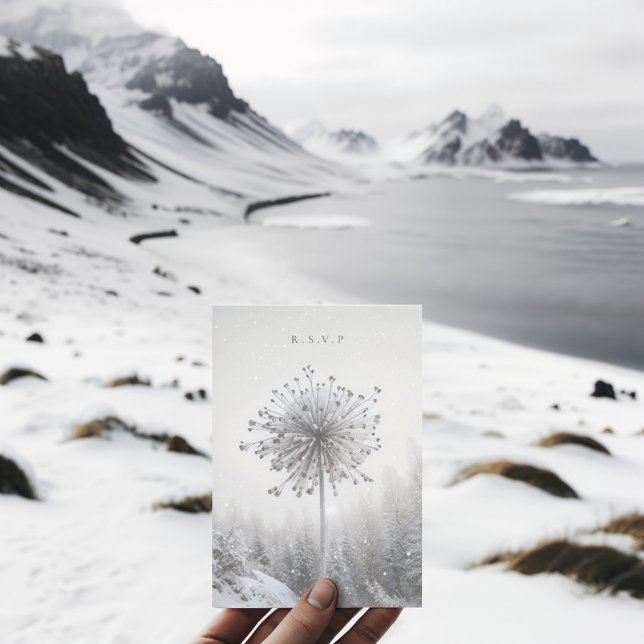 Valet av OSA för vinterblommor i bröllop, fryst Kort (Frozen allium flower in a snowy wintery landscape, perfect for you winter wedding rsvp)