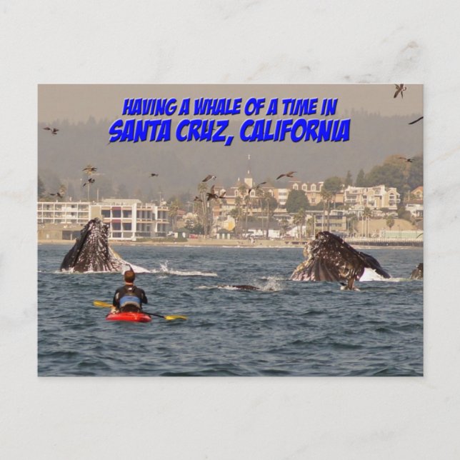 Valet av tidtomten Santa Cruz California vycard Vykort (Framsida)