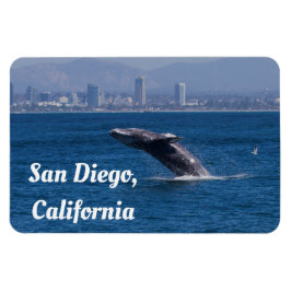 Valet av Time San Diego, CA Magnet