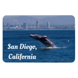 Valet av Time San Diego, CA Magnet