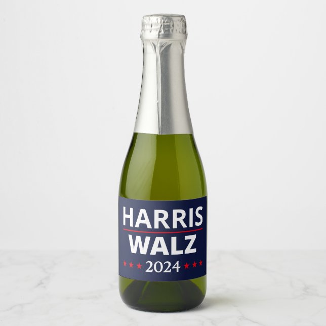 valet Harris Walz 2024 III (Framsida)