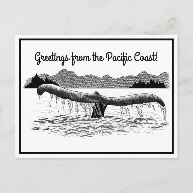 Valets Svan Vykort (Framsida)