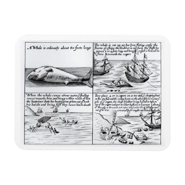 Valfångst i Spitzbergen 1611 (engrave) (b/w ph) Magnet (Horisontell)