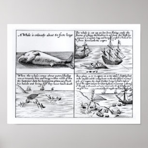 Valfångst i Spitzbergen 1611 (engrave) (b/w ph) Poster