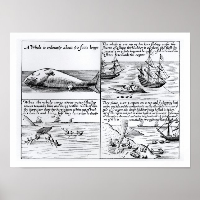Valfångst i Spitzbergen 1611 (engrave) (b/w ph) Poster (Framsidan)