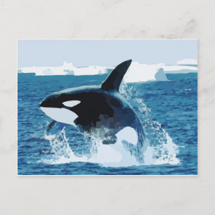 Valfångst Orca Vatten (Fiske i Kärlek) Vykort