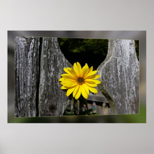 Välfärdsblomma från gult poster