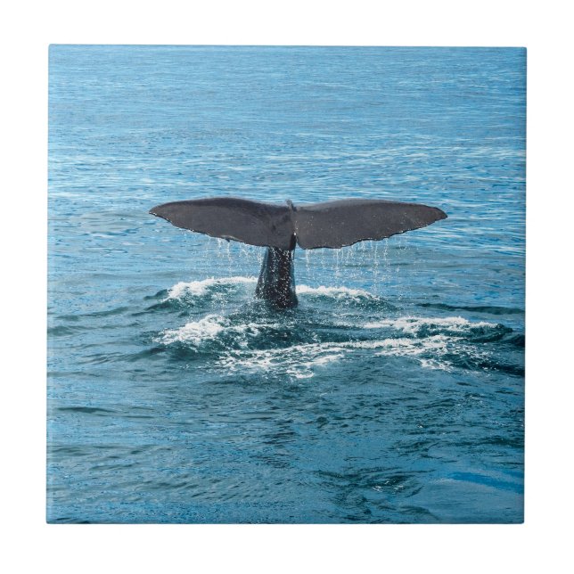 Valfena Kakelplatta (Framsidan)