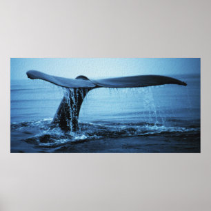 Valfluk Poster