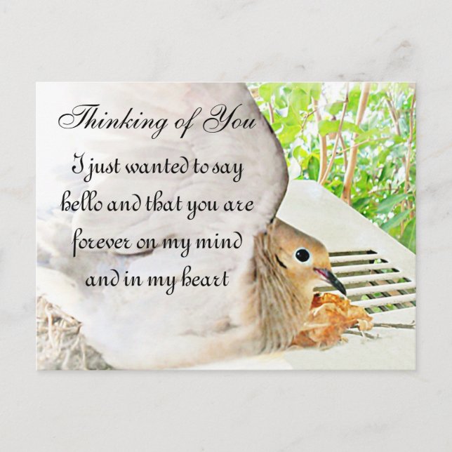 Valfri-Tillfälle_ Vykort (Framsida)